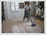  Dry Foam Carpet Cleaning Training & Support