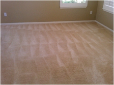 View of Family Room Carpet brushed out, to raise the nap in order to enhance the drying process. 