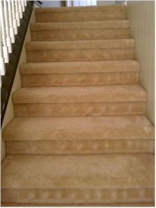 View of Stairs after being Brushed to enhance the Drying Process
