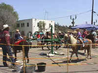 Pony Rides - Old Town Temecula celebrates its heritage every year with stagecoach rides, Indian dancers, the Sheriff's Mounted Posse, wood carvers, Buffalo Soldiers, food, games, Civil War reenacments,  Gunfight shows by the Temecula Old Town Gunfighters.